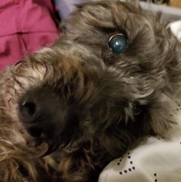 <3 To Bookmark Fantastic Mash! - Picture 3 of 4